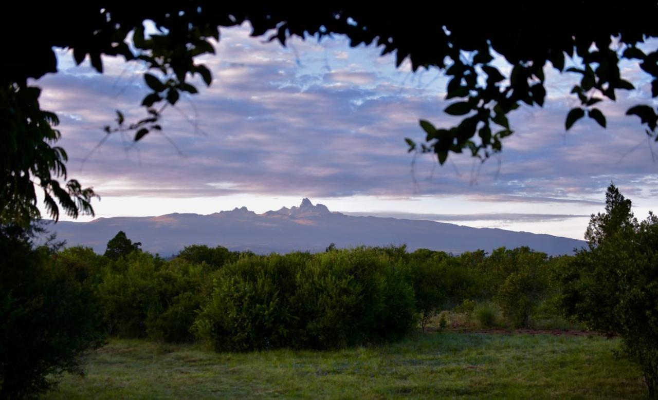 Olepangi Farm Villa Nanyuki Bagian luar foto