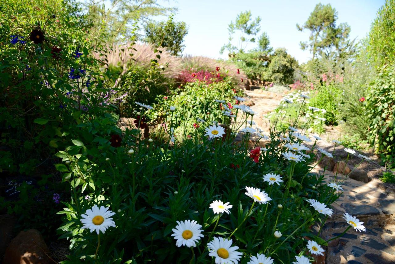 Olepangi Farm Villa Nanyuki Bagian luar foto