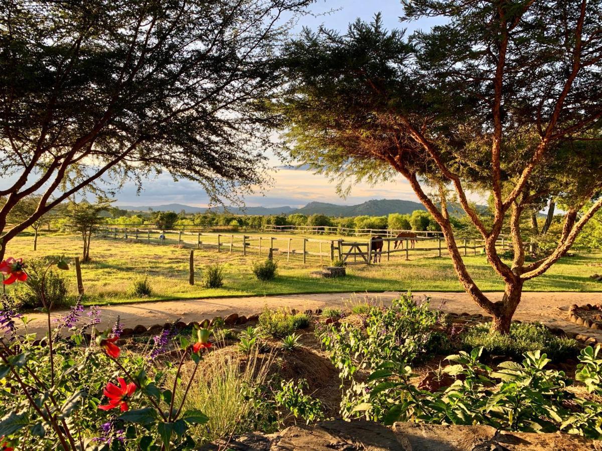 Olepangi Farm Villa Nanyuki Bagian luar foto