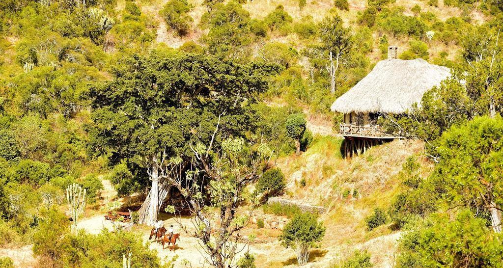 Olepangi Farm Villa Nanyuki Bagian luar foto